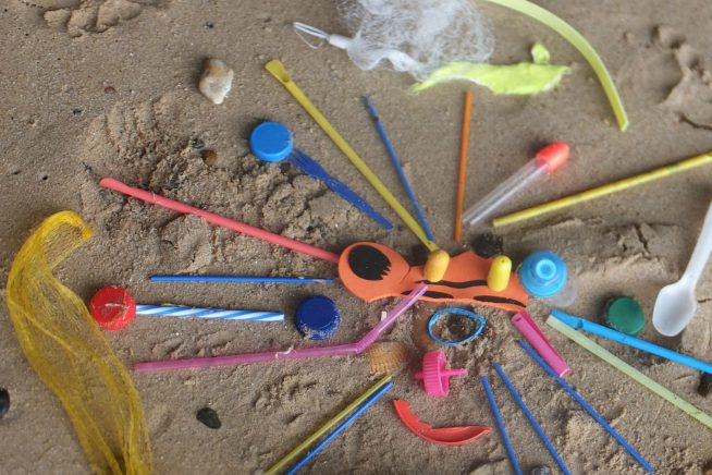 A display of objects found on the beach