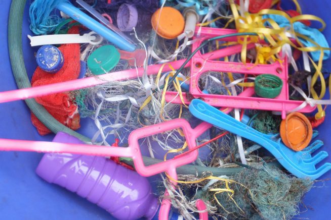 A bucket full of objects found on the beach